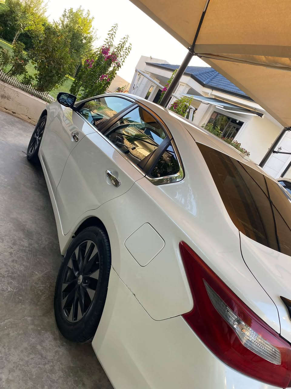 نيسان • التيما • استيراد