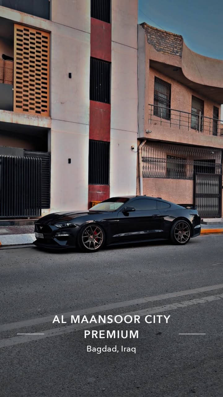 السلام عليكم شباب 
مرخصت الادمنيه الطيبين 
للبيع mustang GT 2023
السياره حادثها فقط دعاميه بدون صبغ (كلين)
الممشة 29,000 km 
السياره رقم اربيل صفر غرامات
السيارة بيها باج تضليل 80% من اربيل رسمي
السيارة عليها ويل نيش اصلي قليل موجود من عنده
عليها هدرز bbk long tube امريكي اصلي
السياره فول مواصفات 
شاشة دجتال 
اكتف اكزوز 
رادار امامي 
حساسات مري 
حساسات خلفيه
لونج كونترول 
مثبت سرعه 
مثبت مسار
مكينه كير كفالة 
قبل كم يوم صار بيها رصعه صغيره كلش باب البيت رجعت عليها فقط 
مكان السياره بغداد الدوره او الداودي 
للاستفسار
*********** بغداد, العراق
