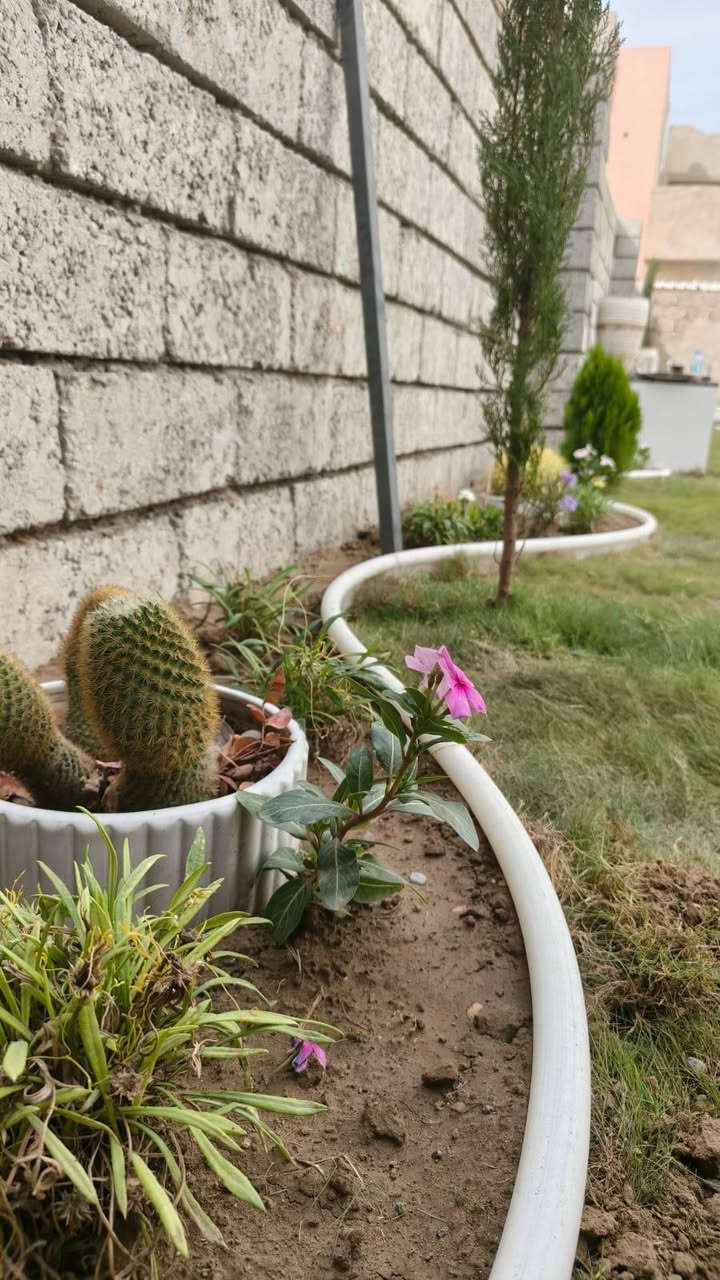 تنسيق حدائق • بستنة • واتساب