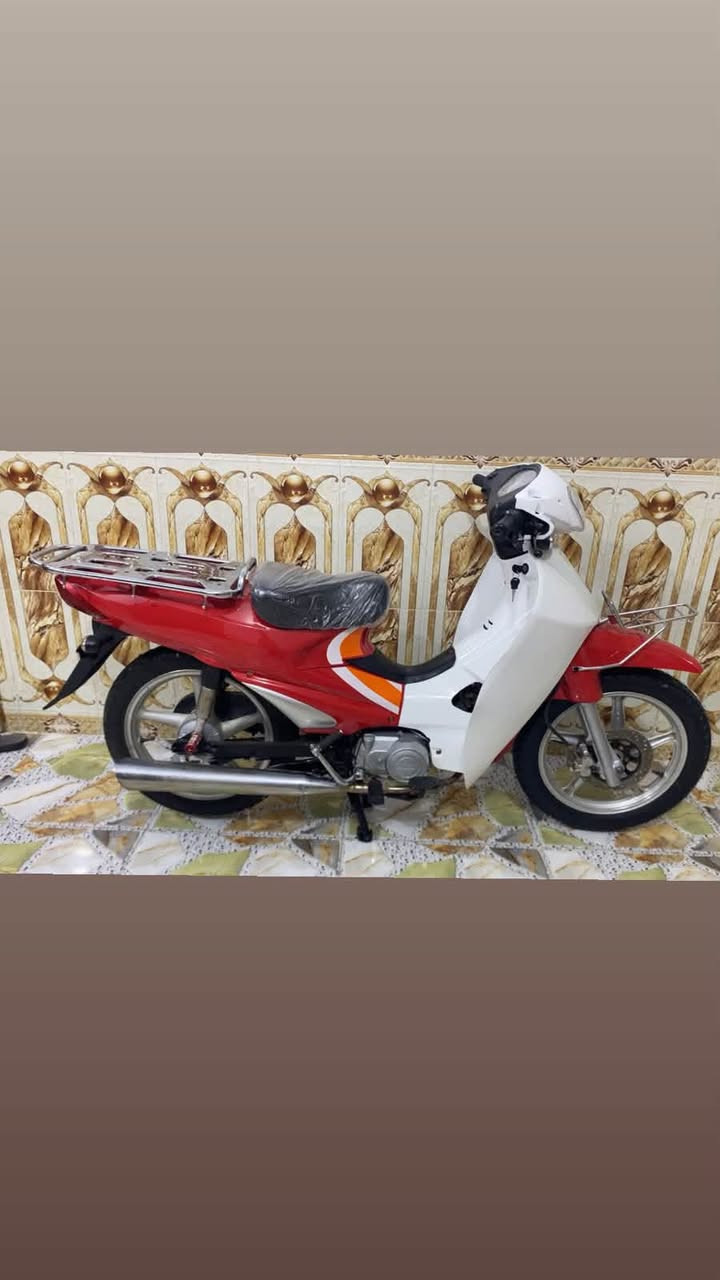 سرفيز • جديد