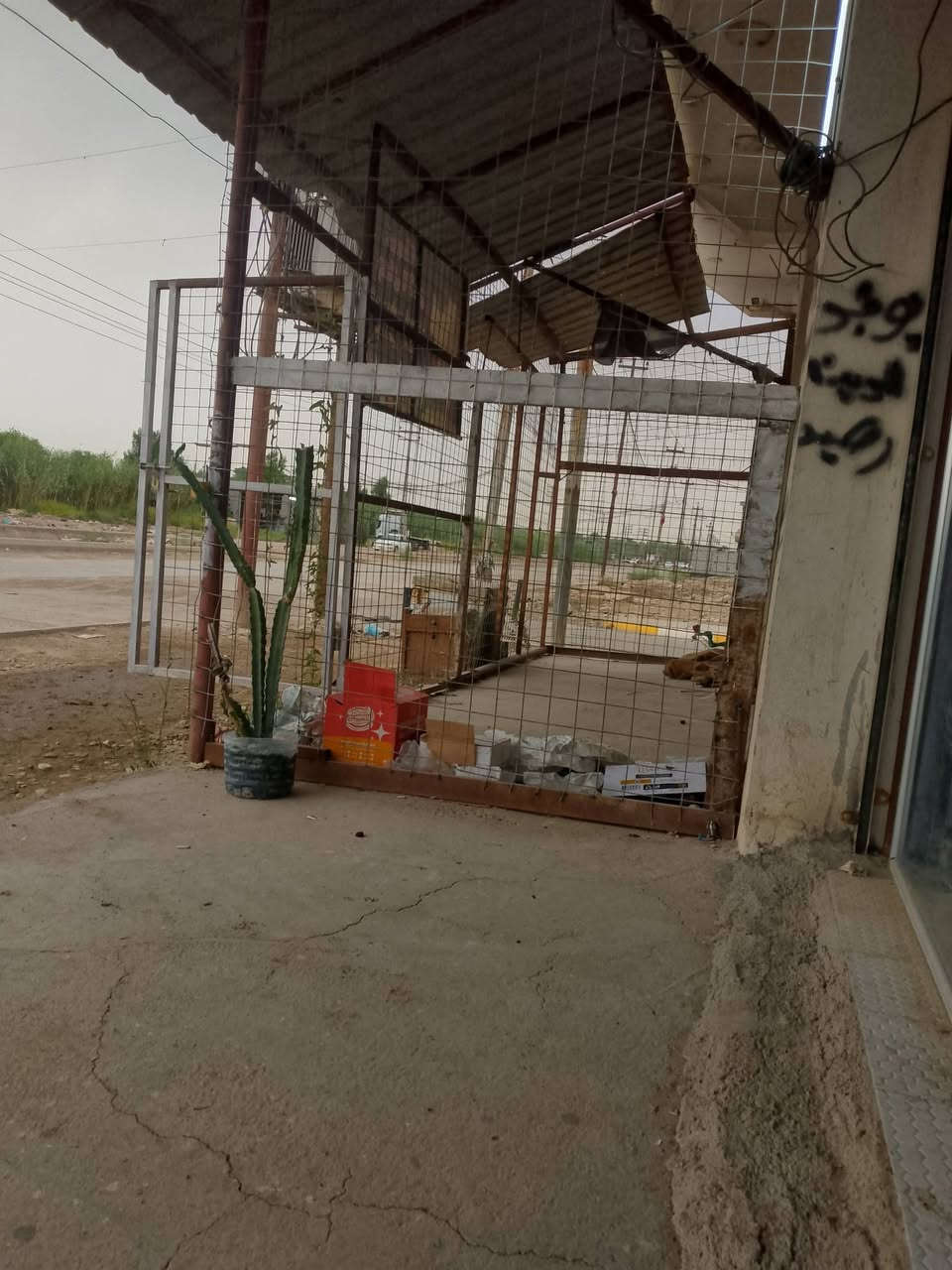 عقار للبيع