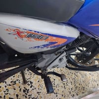 بوكسر • جبلي • ٢٠٢٣