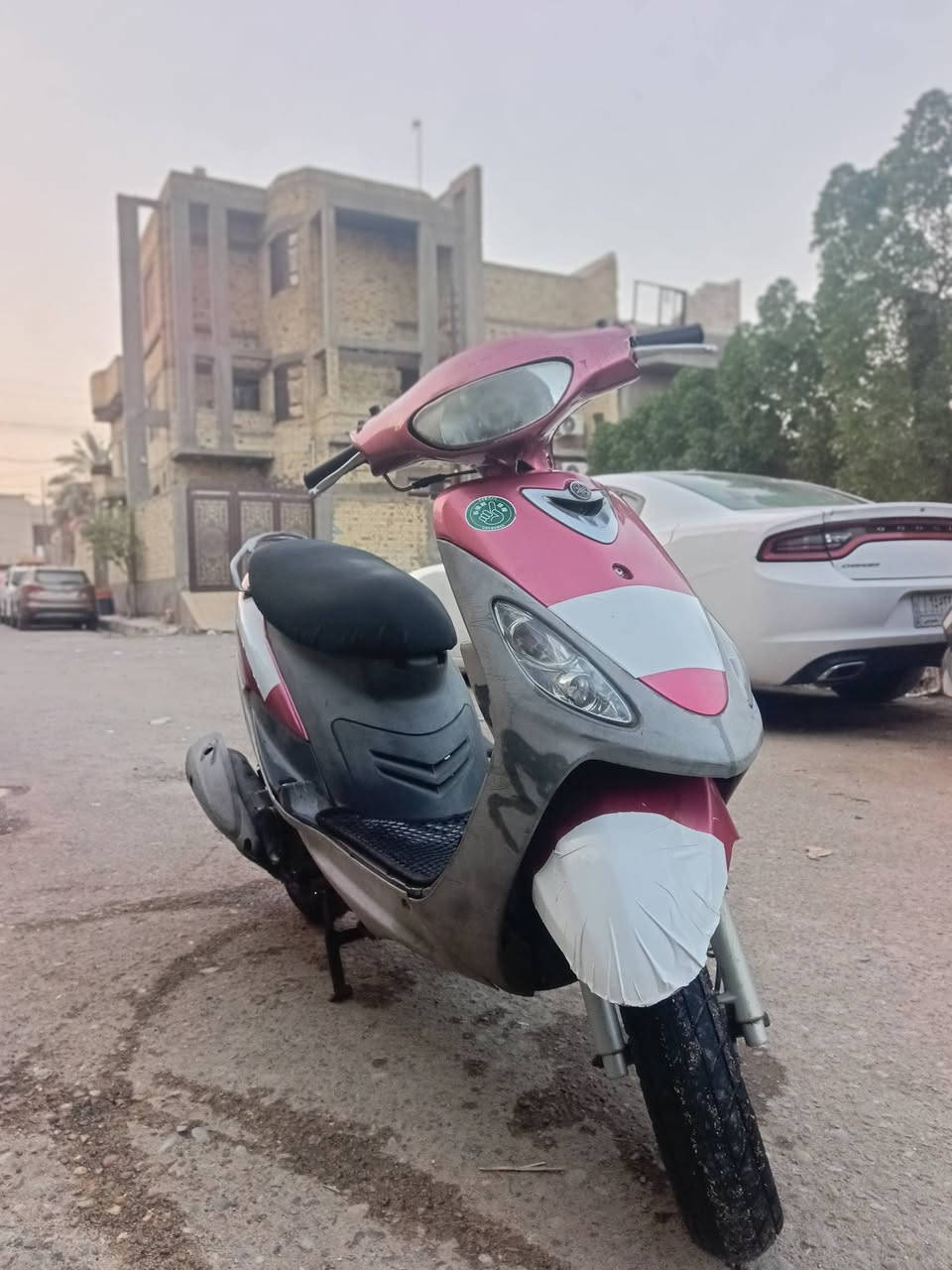 ماكس قچمـة للبيع 
دراجة بلادية مكفولة اي نقص مابيهة كهربائيات كلهة شغالة 
هورن لايت اشاير سلف كلشي شغال ومابيهة نقوصات 
دراجة خير من الله تريد جناي تجي وتشوف بعينك 
مكاني جنينة 
موجود واتساب
***********
