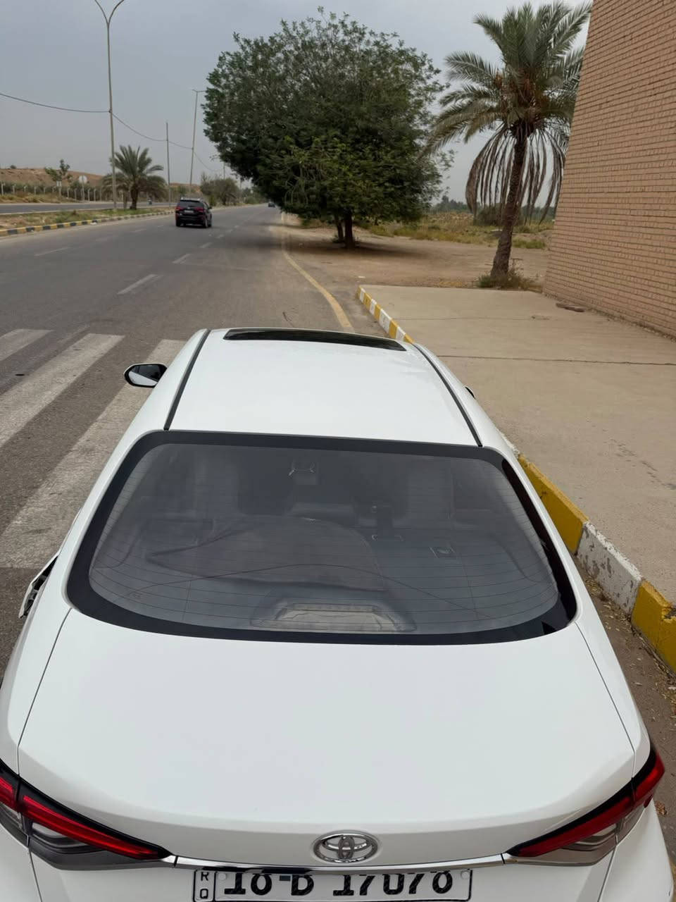 كورلا هايبرد • ٢٠٢٤ • المصيب