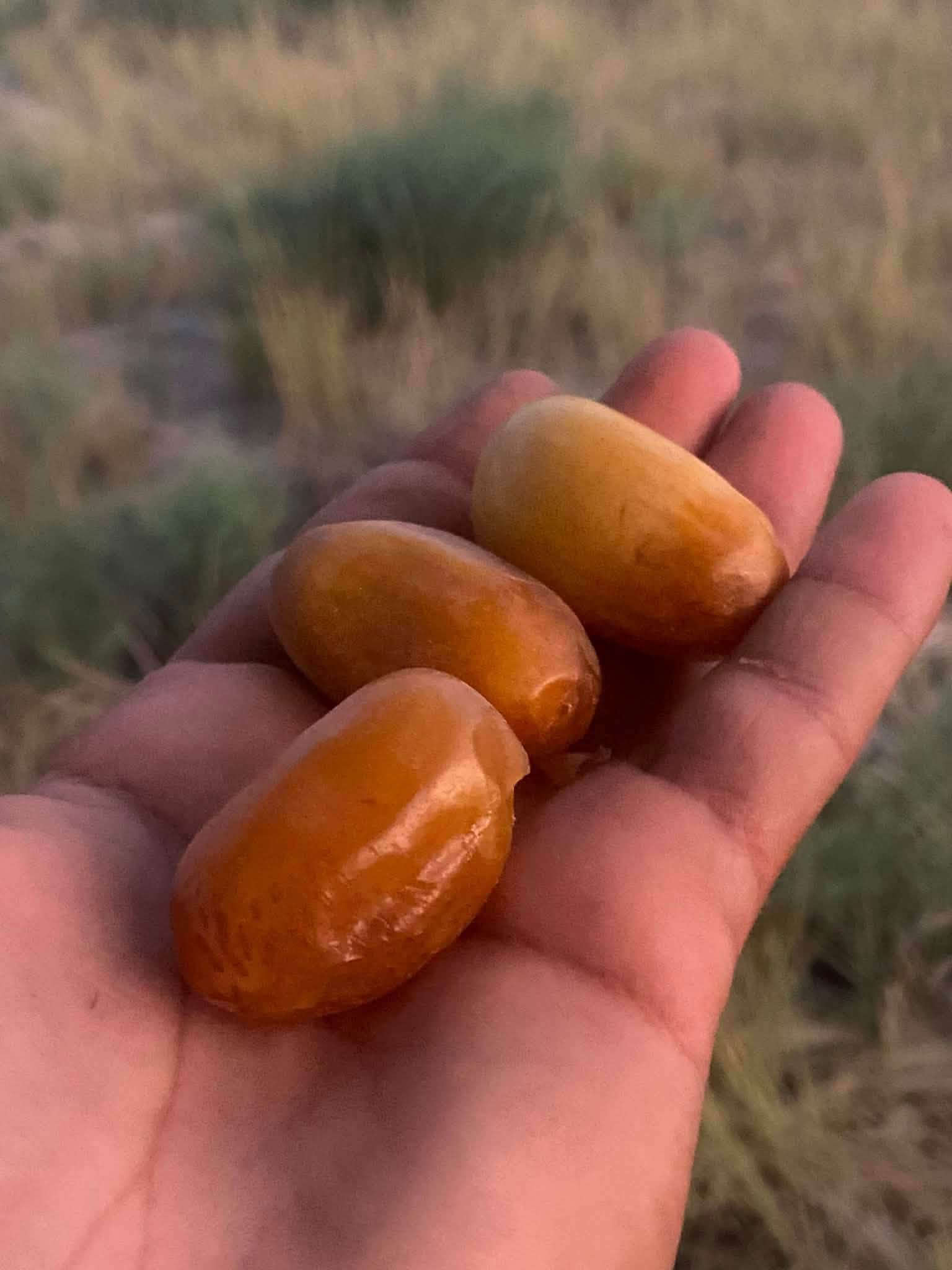 #بستان 2 دونم للبيع
دونمين للبيع تحتوي على نخيل نوعيات جيدة (حمال)

متوفر كافة الخدمات

🍀ماء اساله

🍀ماء سقي

🍀كهرباء

🍀مسيجه بالكامل brc

♻️

موقع مميز 👍 يحدها نهر من البداية ونهر من النهايه

📍العنوان - طريق الدغاره - نزلت زبيد - بداية البونايل قرب الاروائي(ابوصبخه)

للتفاصيل أكثر 

***********
