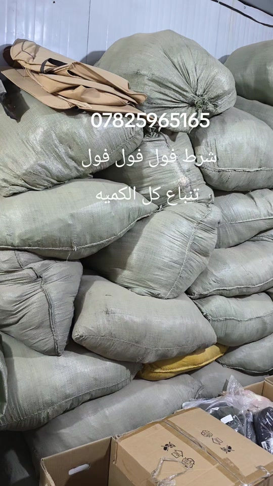 الحله • فول • تباع كل الكميه