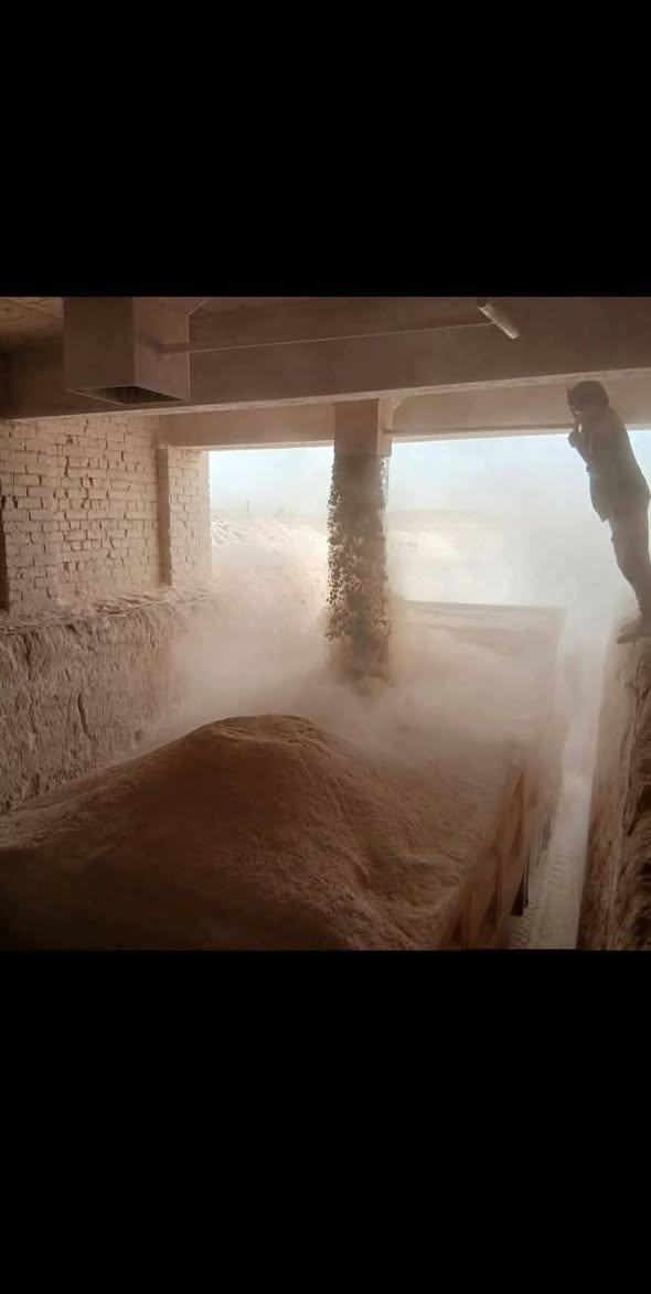 يوجد لدينا جص الجزيره الكرمه والنجف جص ع فحص والجص اذا مو زين يرجع تفحص ياله تنزل التك 150كونيه وجاهز مع العمل والكواني 
*********** ب واتساب 
*********** ب واتساب
