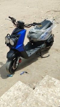 سكنس جبلي • نضيفه • اوراق