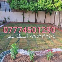 كركوك • تقليم الأشجار • قطع أشجار كبيرة