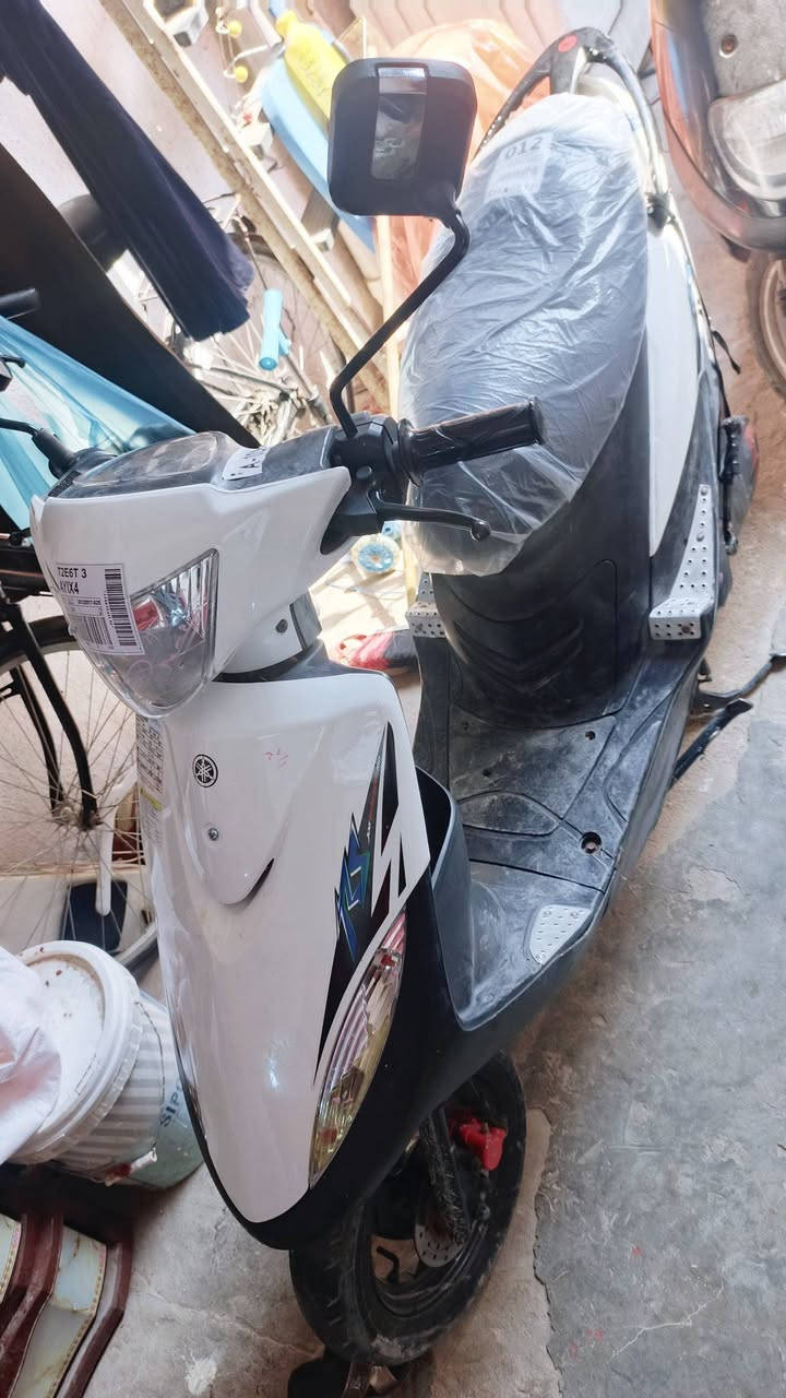 ماكس كارتون • بصره