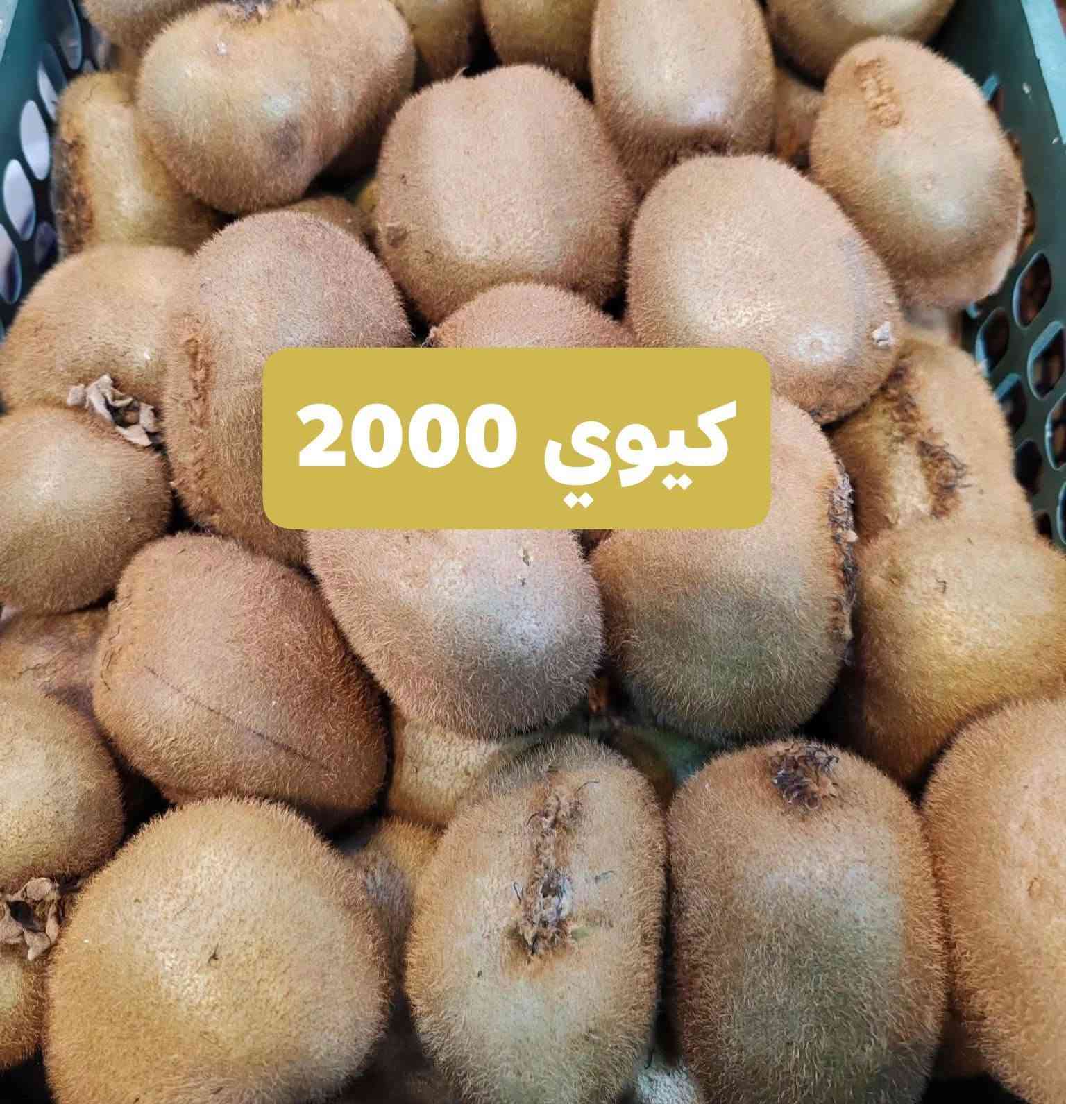 الفلوجة الجغيفي الثانية • توصيل مجاني • خضار وفاكهة