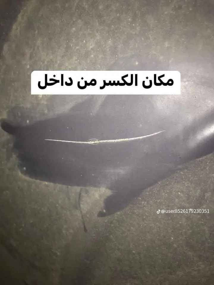 اعلاااااان هاااااام 
(الى اهالي البصره الكرام )
ورشه تصليح الخزانات 💦💦البلاستك بنواعها 
ضمان خمسه سنوات
🚙🛴🛠️🔧🔫ورشه  متنقله فقط وانته 
في بيتك🏠🏘️نصلح الخزان
بماده البوالي ثلين والشسوار الحراري🔥
على الراغبين. تواصل على الارقام 
***********
***********
سيد حسن  متوفر وساب البصرة, العراق
