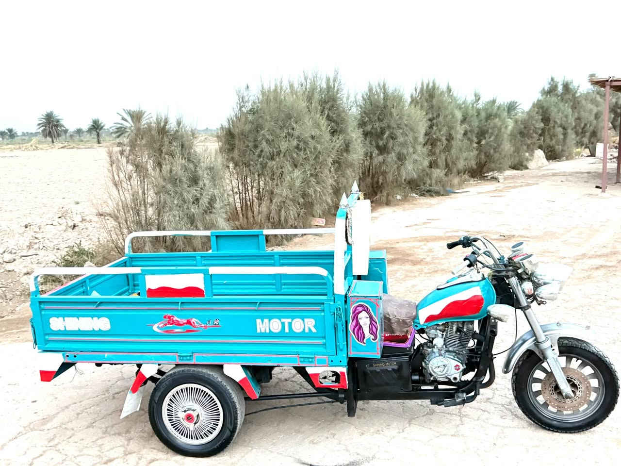 ستوته • ٢٠٢١ • اوراق اصولي