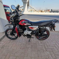 بوكسر جبلي • ٢٠٢٣ • مرقم