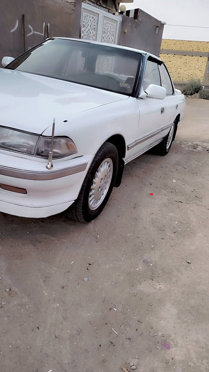 مارك عظم • ١٩٩١ • مكفولة