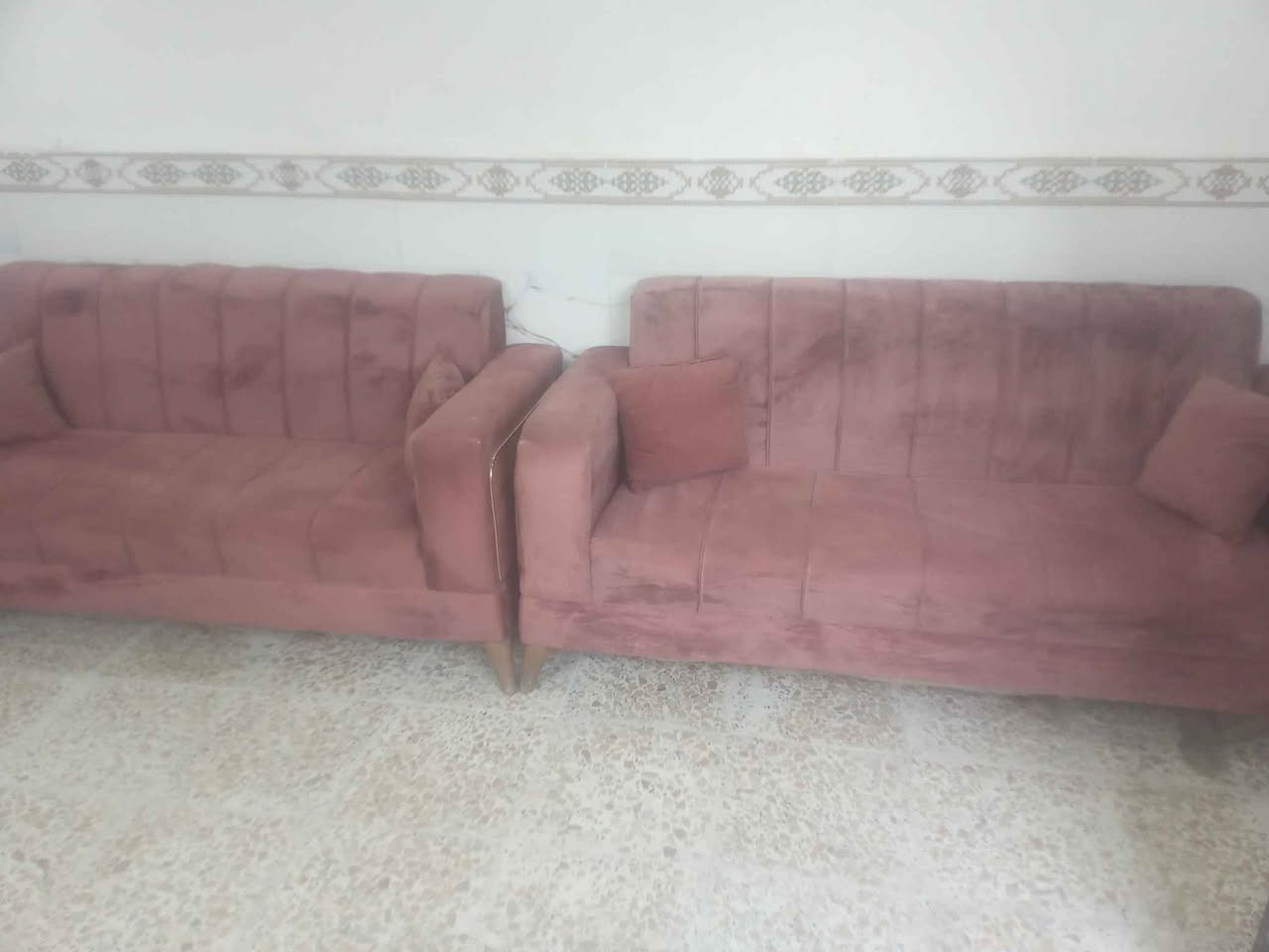 ‎تخم قنفات النوعيه زينه  ***********‎ النجف, العراق
