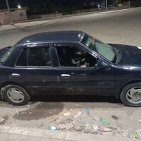 سيفية • ١٩٩٦ • سنوية ساقطة