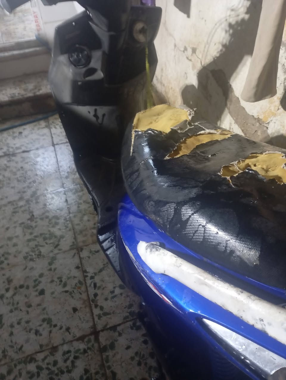 سلام عليكم سكنس فحل البيع بكاني بغداد لامين الثانيه الستفصار ***********
