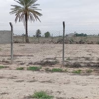 ٥٠٠م • زراعي • العزيزية واسط