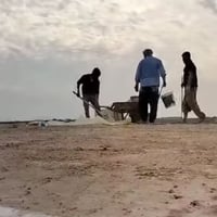 تصليح الصطوح • تنضيف • نجف المشخاب