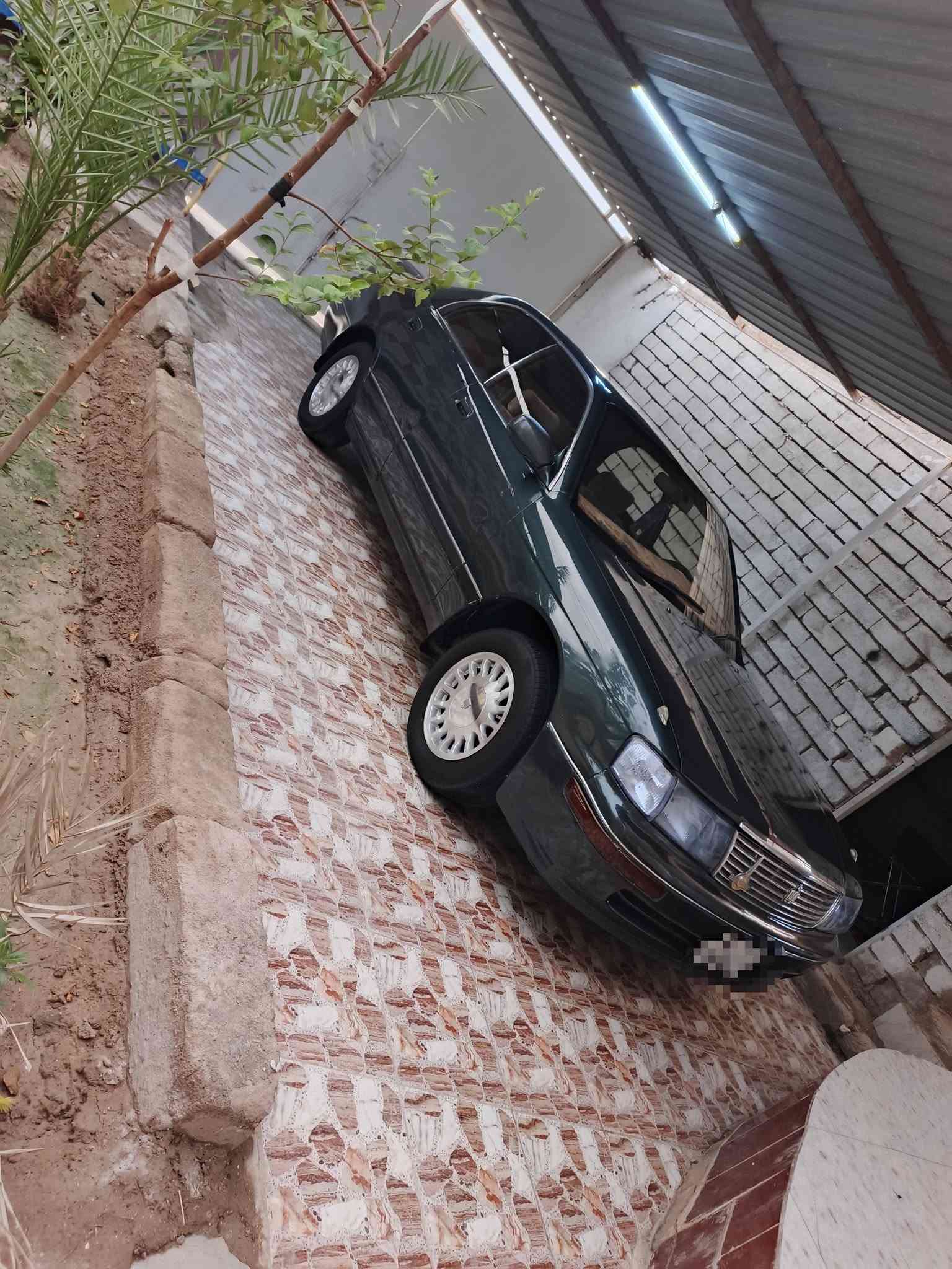 بطه منتصل • ١٩٩٤ • رقم بصرة