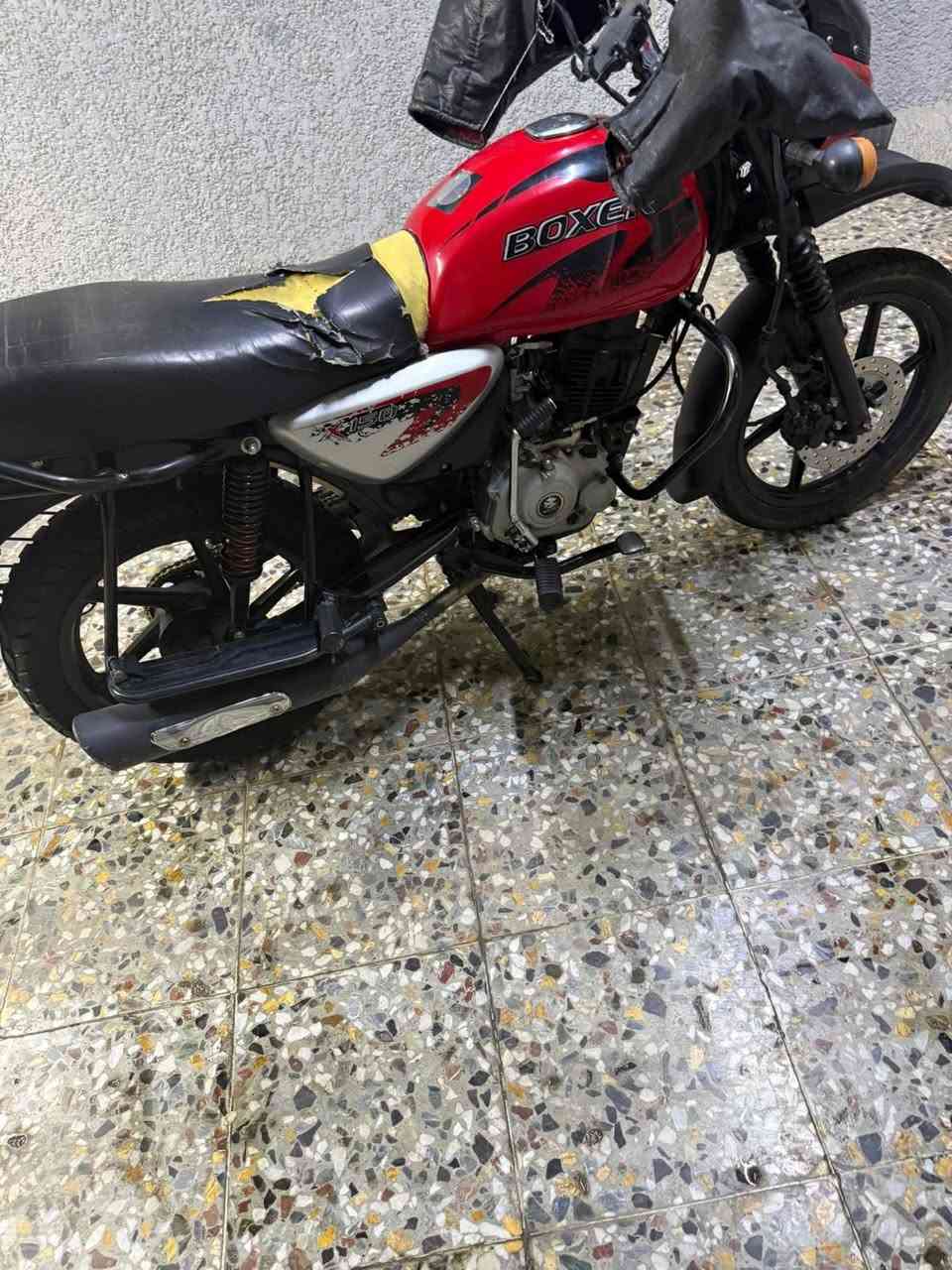 بوكسر • ٢٠٢٣ • مرقمه