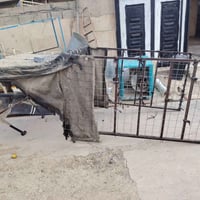 ستوتة • جنج • للبيع
