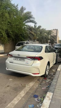 كورلا ساز • ٢٠٢١ • رقم اربيل