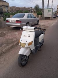 فحل • محرك بلادي • اوراقه