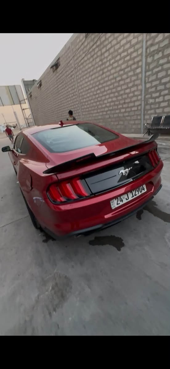 السلام عليكم 
موستنك 2021
ايكو بوست 
ضرر حزام 
***********
