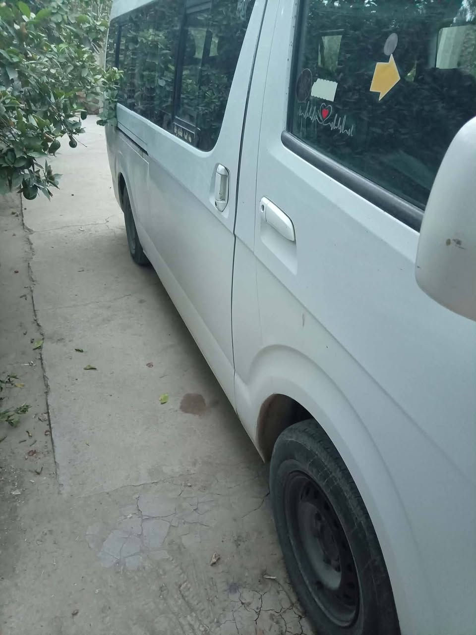 جنبى • ٢٠١٤ • رقم بابل