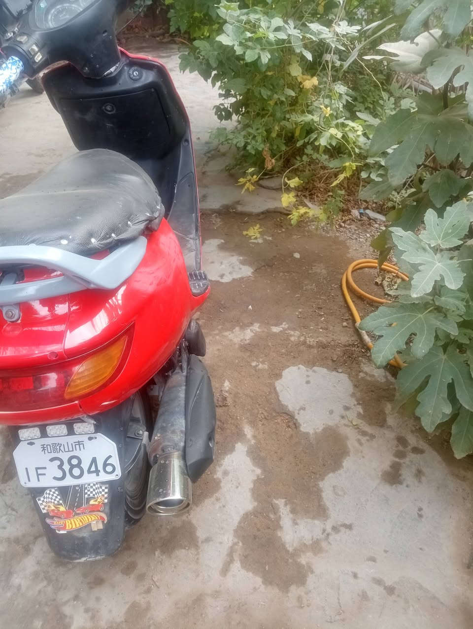 النجف • ٤٢٥