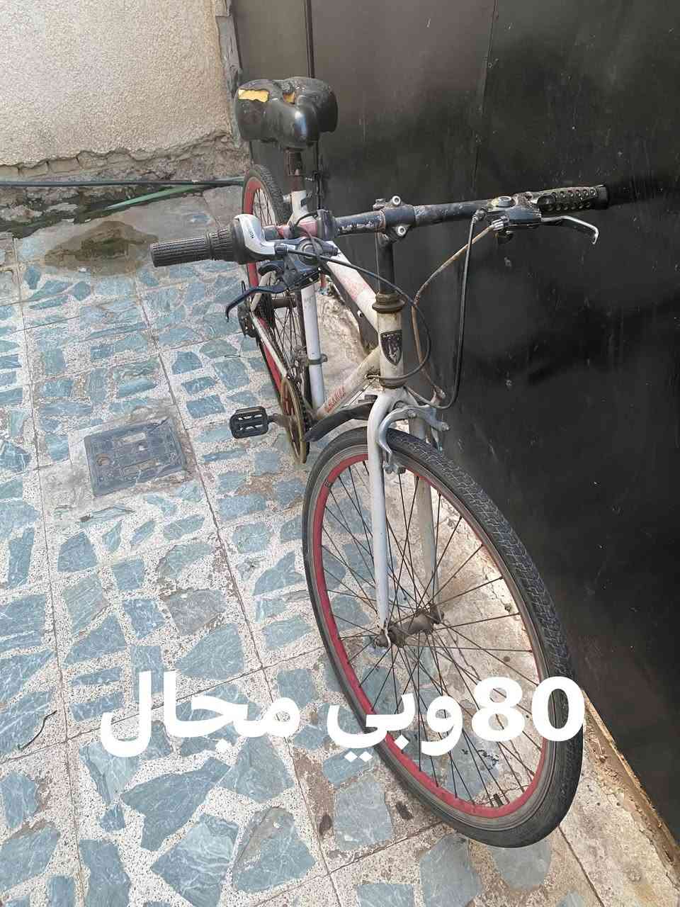 دراجة • قابل تفاوض • ٦٥ و٨٠