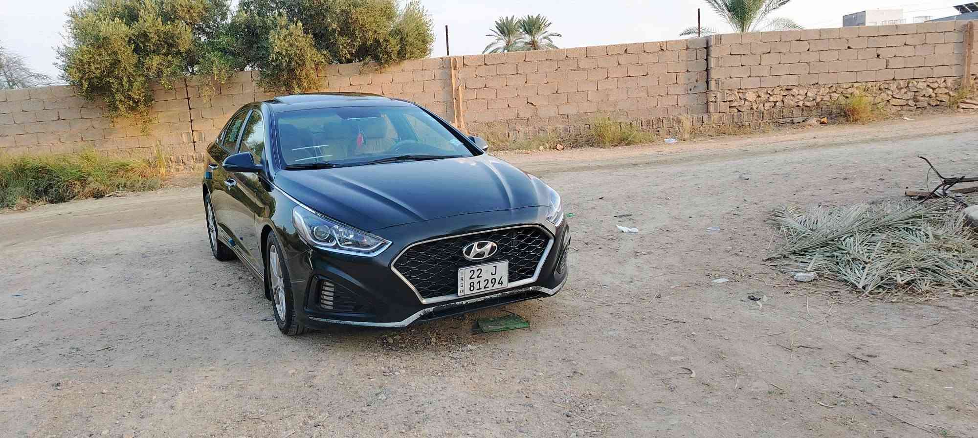 سوناتا • ٢٠١٩ • رقم اربيل