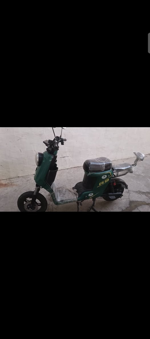 R9 • نخلة البصرة • بدون بطاريات