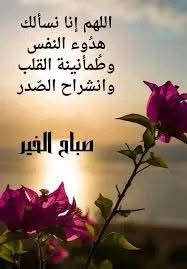 العزة • كلية الكوت • صالون ٤ راكب