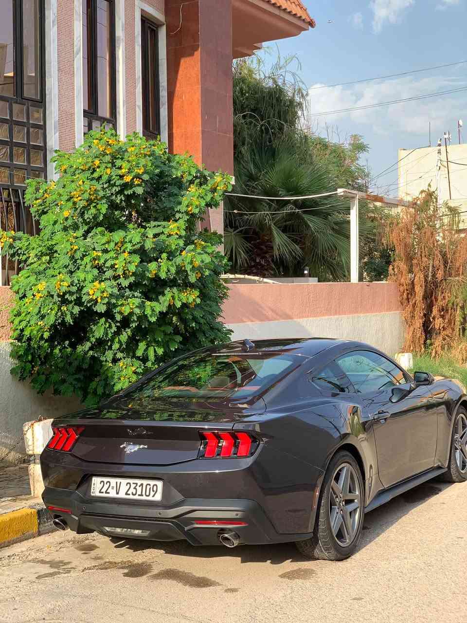 موستنك ايكوبوست • ٢٠٢٤ • الموصل