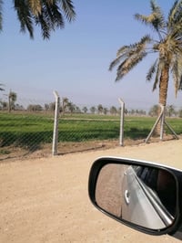 ١٠٠٠دونم • واجهة نهر دجلة • ١٤٠دونم نخيل برحي