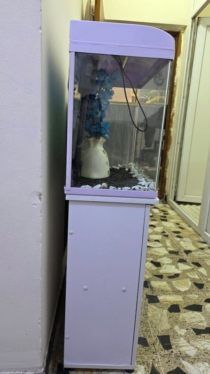لا توجد تفاصيل

