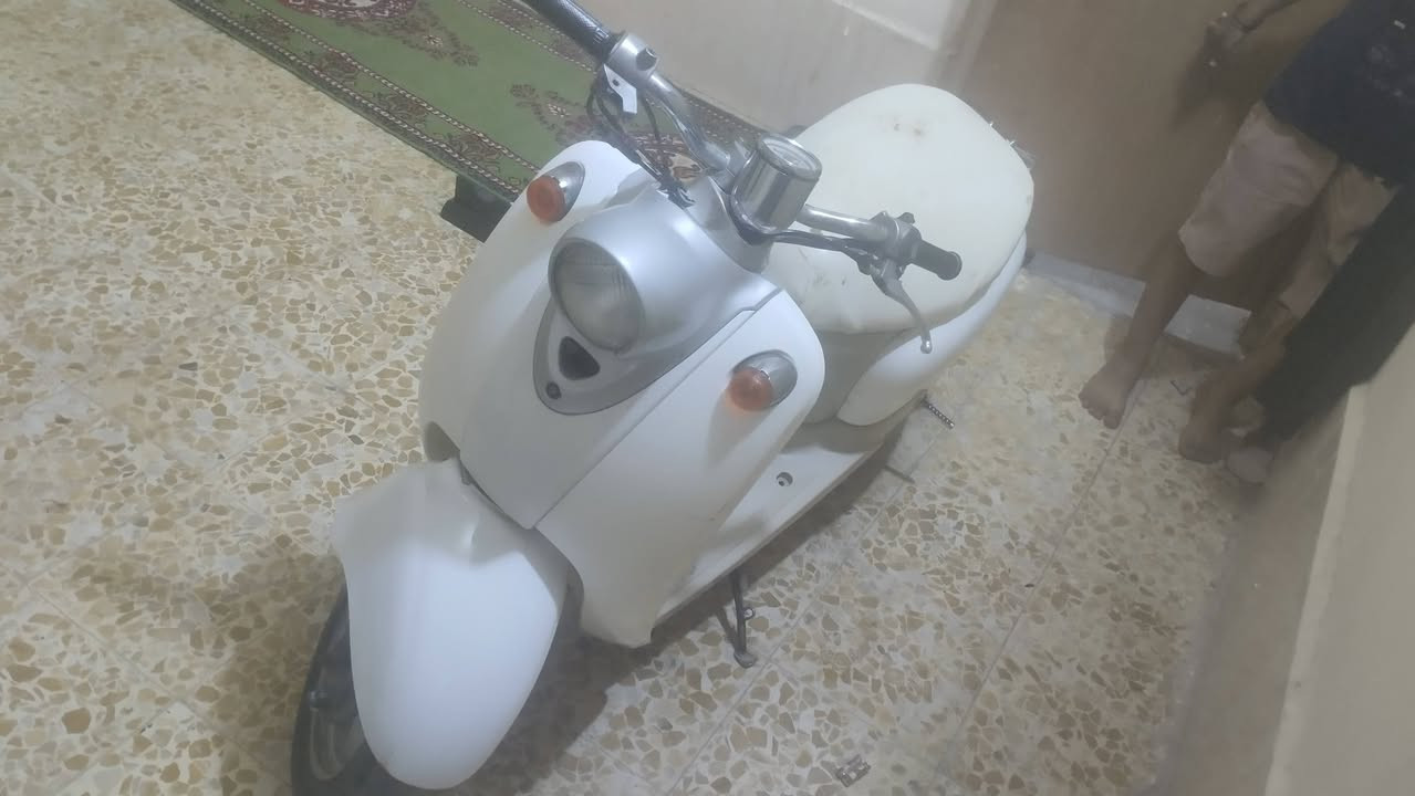 عبدالحليم • كهربائيات شغال • مجال بسيط