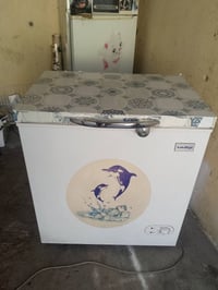 مجمدة • مدينه الصدر