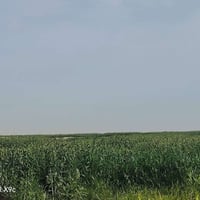 ٦٠دونم • سيطرة البطاح • ١١كم