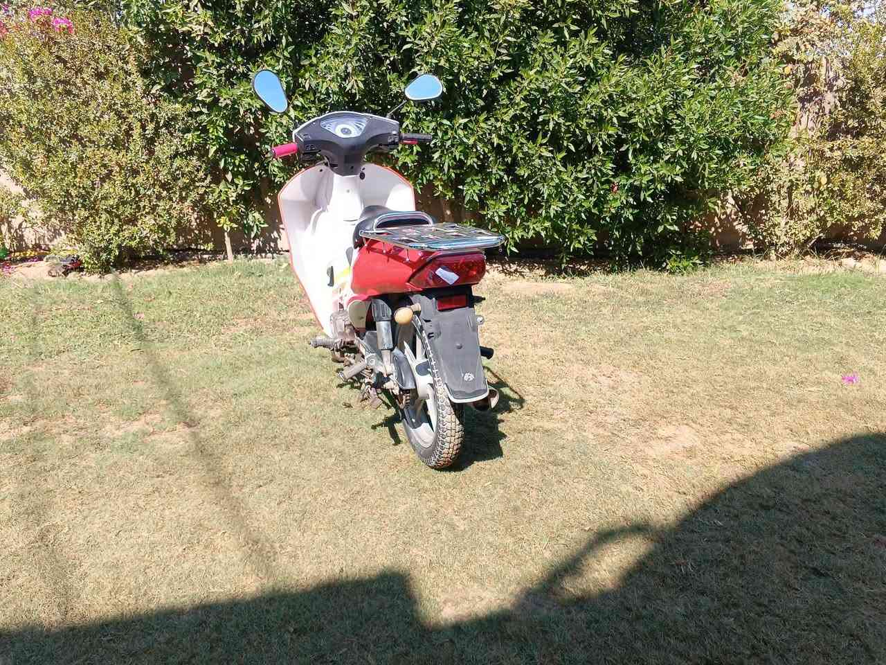جسرفيز للبيع مكفول كفاله عامه كله شغال محرك ناعم بشكل شرط النعومه بي خيط دخان 500 وبي مجال قليل الموشراي  لايكسر بل سعر رجآ  الدراجه نضافه فولللل 
الاتصال***********0
