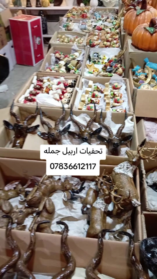 

نص مكتوب في الصور:
- تحفيات اربيل جمله ***********