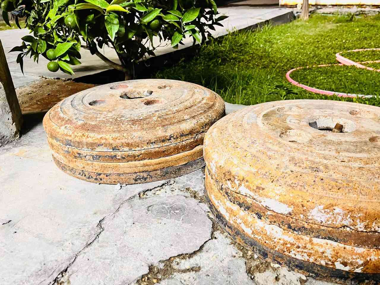 عرض ثكالات عنتر للبيع كاملات في بغداد اليوسفيه السعر 270 الف
للتواصل 
*********** 
***********
