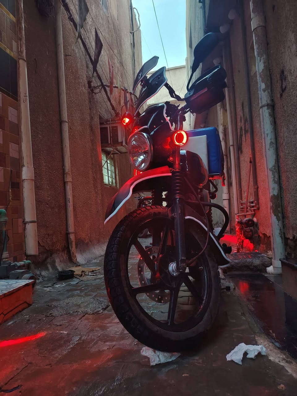 بوكسر • جبلي • ٢٠٢٠