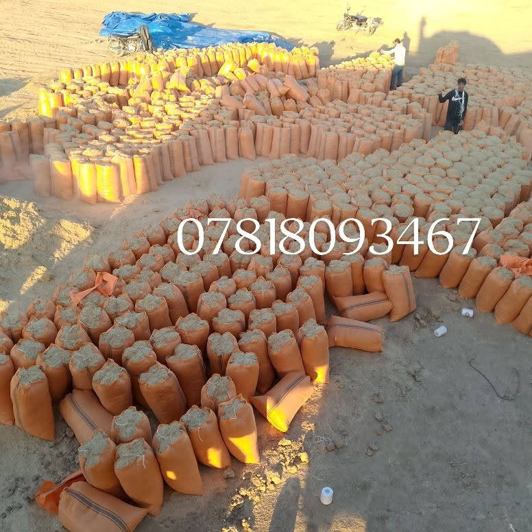 السلام عليكم يوجد تبن فول الزوج 2500 بالمكان يوجد توصيل جميع محافظة العراق والكميه مفتوحه الاتصال على الرقم ***********/***********
