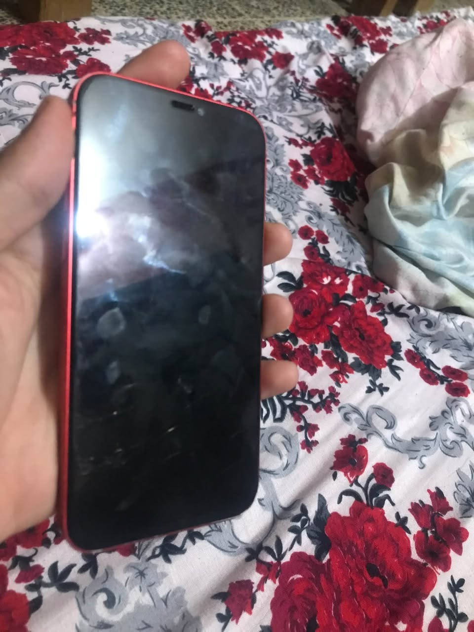 ايفون ١٢ • ٢٥٦ • فيس ايدي ميشتغل