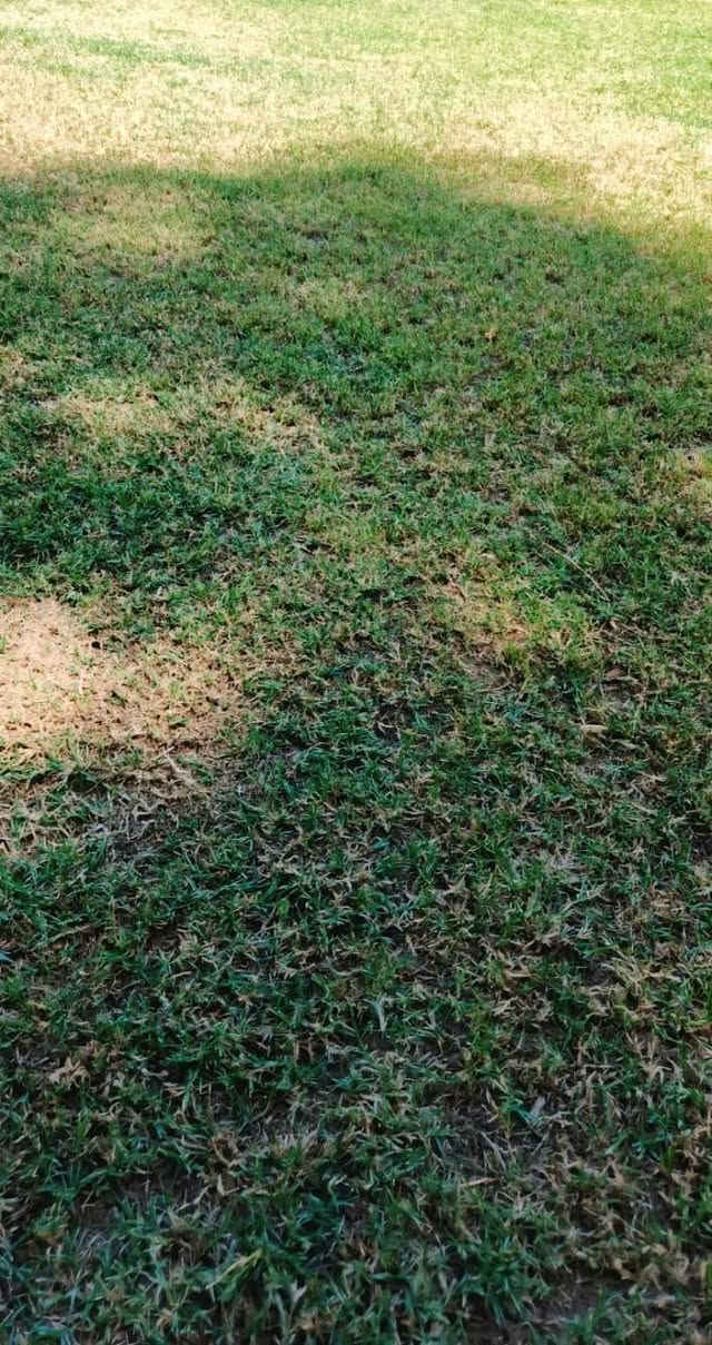 السلام عليكم 

يوجد مكينه ل اجمل قصات الحدايق و بانسب الاسعار 

ماعليك غير تتصل واجيك ل باب البيت 

ه‍ ***********

ه‍ ***********
