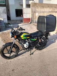 بوكسر كلاسك • ٢٠٢٣ • نقص دشبول